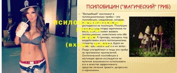 ешки Алексеевка